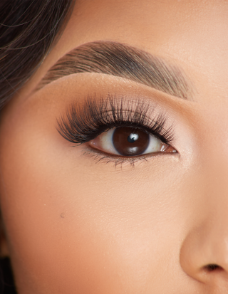 पी.लुईस लैशेस - ब्लिंक इन ब्यूटी