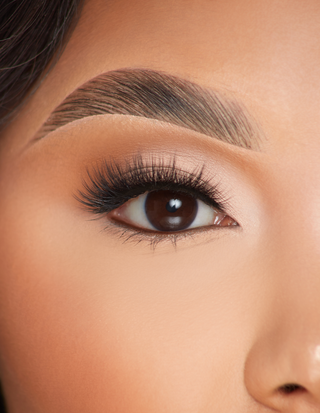 पी.लुईस लैशेस - पूरी तरह खिले हुए