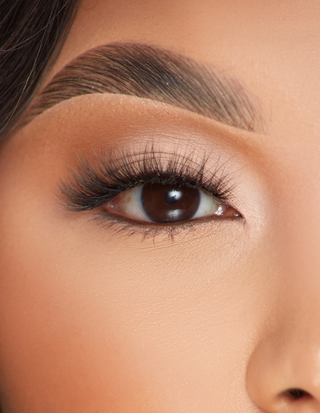 पी.लुईस लैशेस - गुलदस्ता ब्रीज