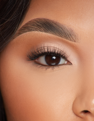 पी.लुईस लैशेस - शांत आकर्षण