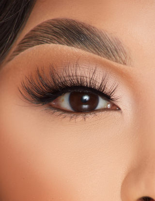 पी.लुईस फॉक्सी फ्लिक्स लैशेज