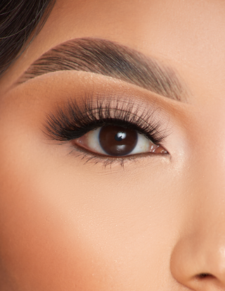 पी.लुईस विंक और विस्प लैशेज